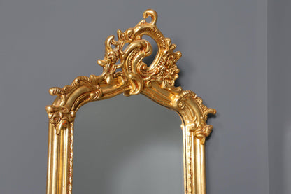 Noble splendor baroque style standing mirror antique style ornament hall mirror