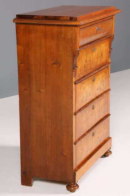 Wunderschönes Gründerzeit Vertiko Nussbaum Highboard Louis Philippe Kommode um 1880