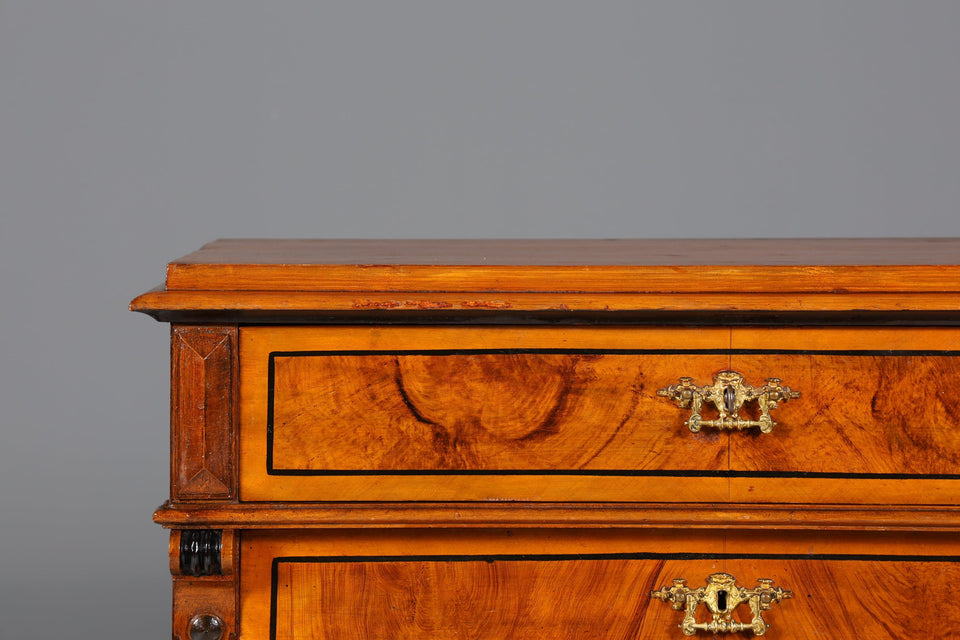 Stylish Wilhelminian style Vertiko walnut highboard Louis Philippe chest of drawers around 1880