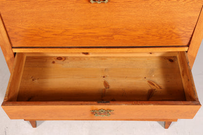 Stylish Biedermeier Secretary Vertiko Antique Chest of Drawers Louis Philippe Writing Desk