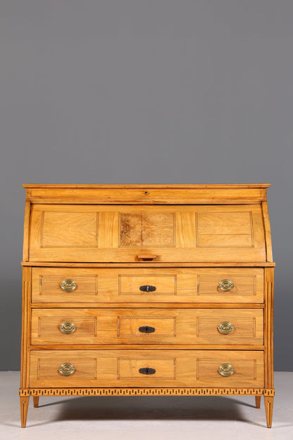 Impressive Biedermeier Secretary Louis Seize Chest of Drawers around 1810 Writing Desk Office Cabinet