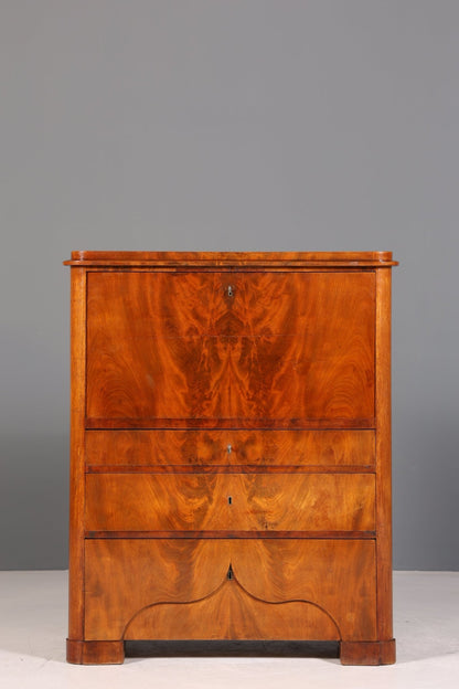 Stylish Louis Philippe Secretary Vertiko Wilhelminian style chest of drawers around 1880 Office